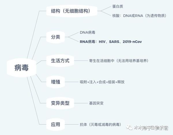 最新病毒總結(jié)報(bào)告，全面梳理與分析病毒動(dòng)態(tài)