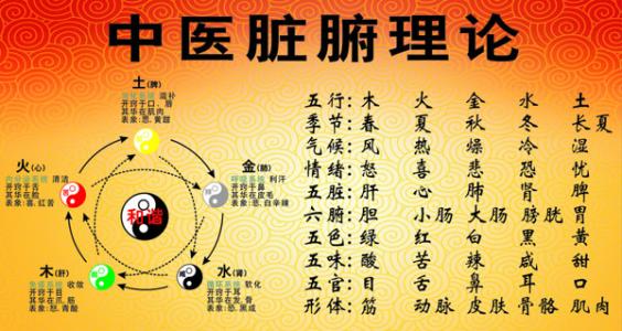 探索現(xiàn)代健康生活秘訣，最新養(yǎng)生知識匯總