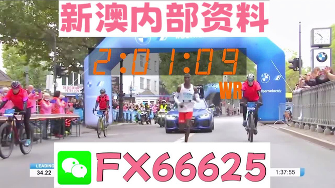 新澳2024年正版資料,