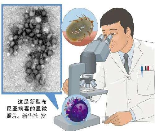 科技革新引領(lǐng)生活新篇章，新冠病毒最新動(dòng)態(tài)與影響