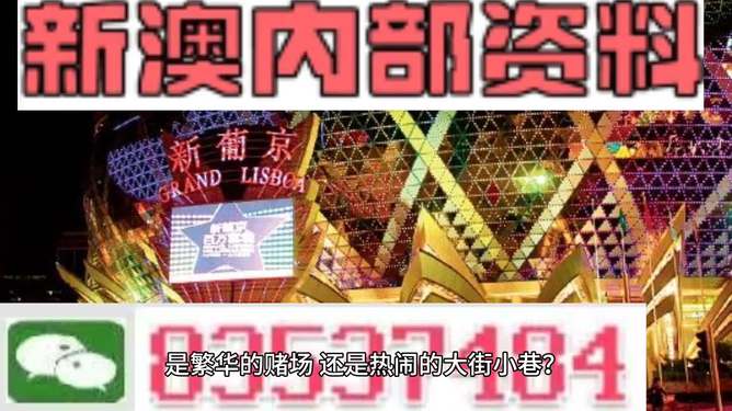 新澳最新最快資料大全,