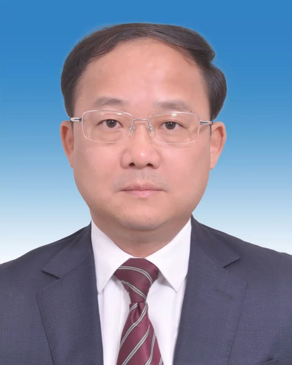 楚科緯的新職務(wù)揭秘，科技小達(dá)人的日常與情感紐帶探索