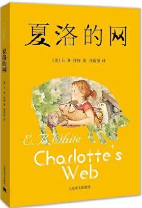 大人網(wǎng)最新版，日常趣事與情感交流的平臺