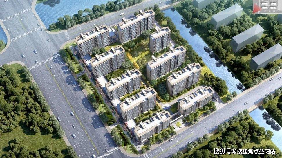 一碼一肖期期準,方案優(yōu)化實施_實用版5.553