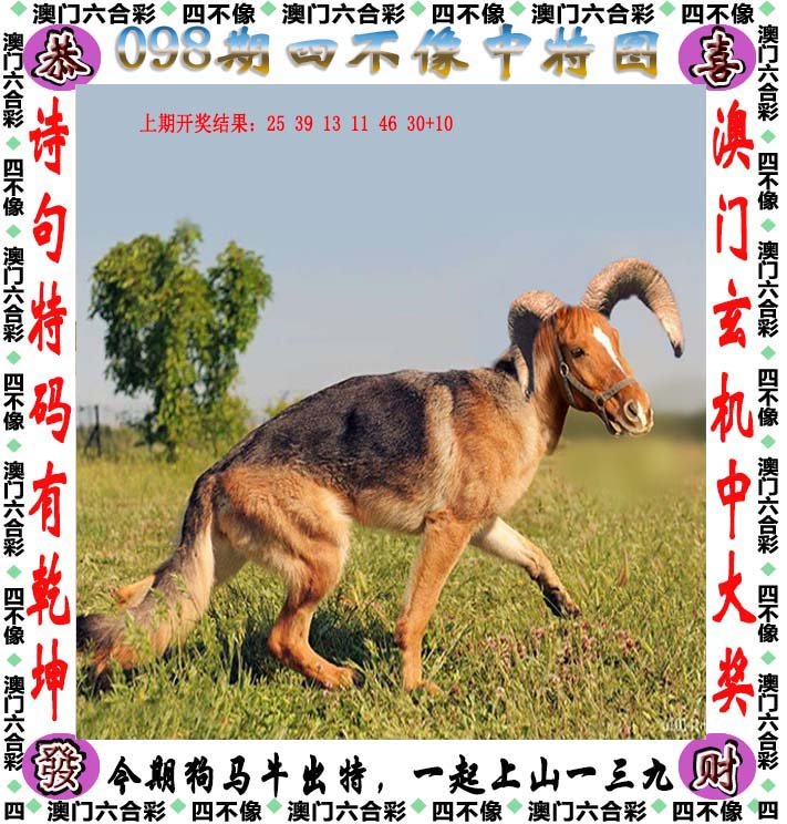 四不像正版資料2024年,全面設(shè)計(jì)實(shí)施_體驗(yàn)版49.539