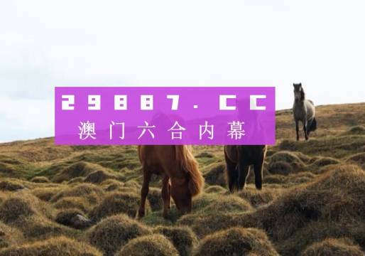 新澳門開獎結(jié)果+開獎記錄,新技術(shù)推動方略_閃電版65.539