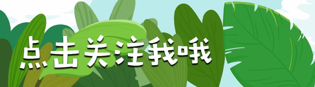 “最新疫情動(dòng)態(tài)”