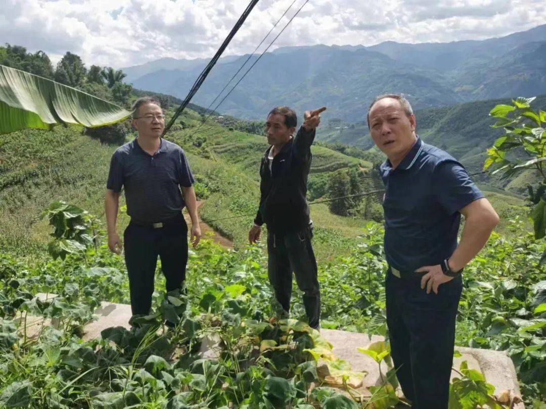 茶忠旺的最新去向揭秘，最新動態(tài)揭曉??