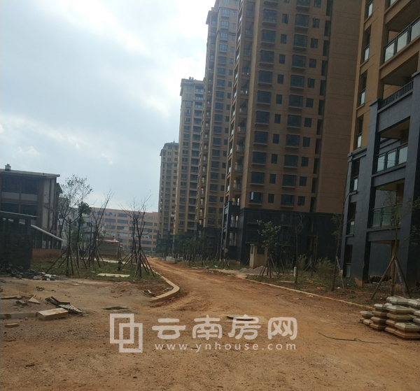 優(yōu)活城最新動(dòng)態(tài)，塑造現(xiàn)代生活方式的里程碑