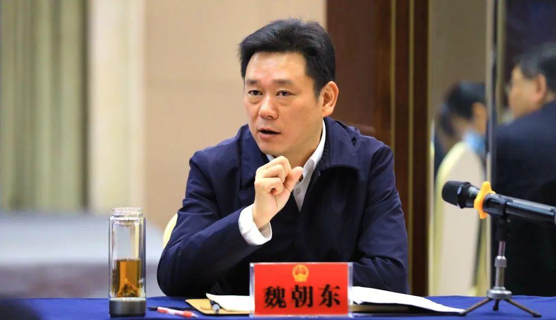 洪湖新聞最新報道，新堤發(fā)展動態(tài)及關(guān)鍵進(jìn)展揭秘