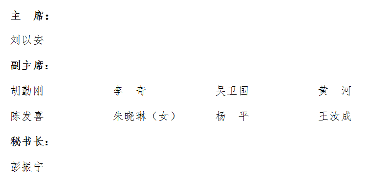 南京市副市長名單揭曉，科技領(lǐng)航，智繪未來新篇章