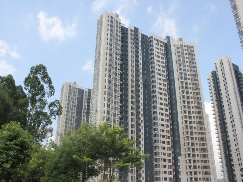 自由人花園最新房價(jià)及深度分析