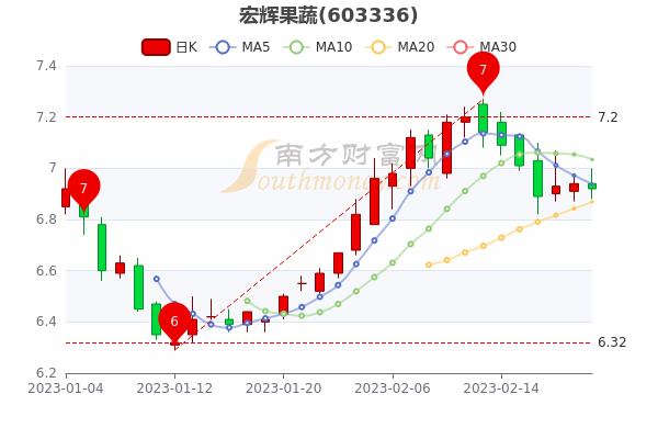 宏輝果蔬股價最新預測與小巷美食探秘揭秘