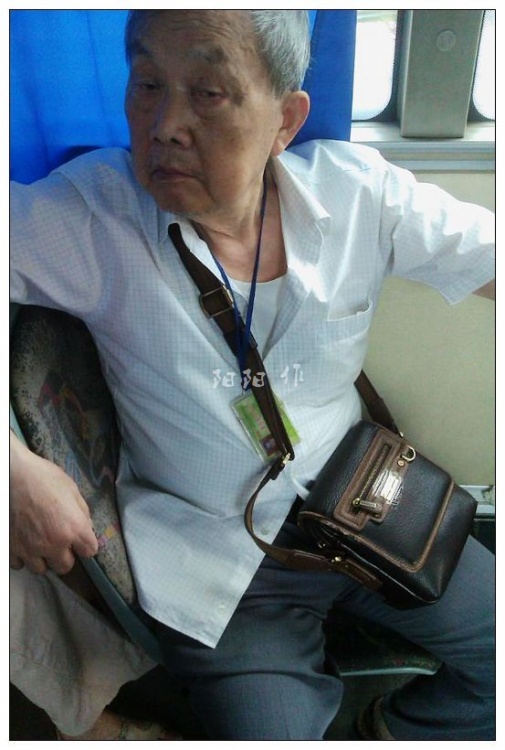 小巷深處的神秘小店，最新戀老小說大揭秘