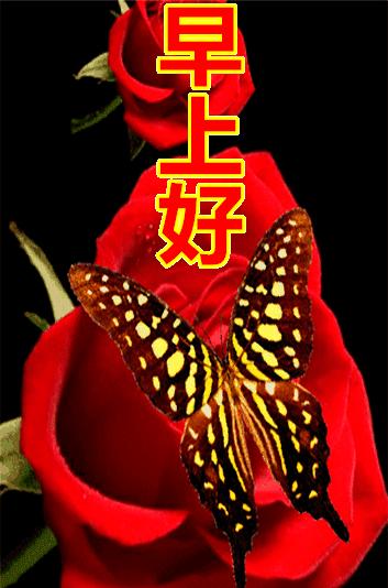 擁抱最新自我，自信閃耀在變化中